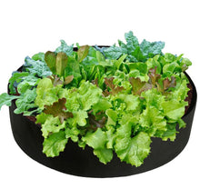 Load image into Gallery viewer, Fabric Raised Planting Bed -Small